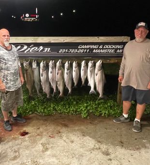 Lake Michigan Bounty: 10 Salmon in the Box!